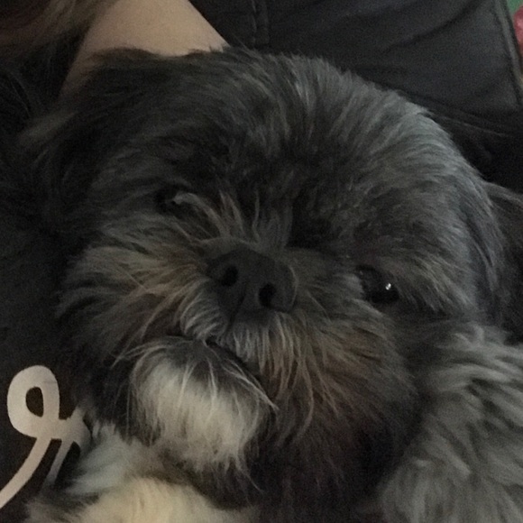 Meet your Posher, Hannah - Picture 1 of 1